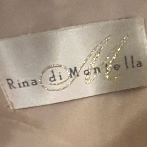 Rina diMontella Strapless Chiffon Gown in Cream and Silver, size 16W - Picture 4 of 11